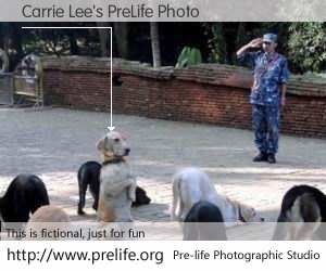Carrie Lee's PreLife Photo