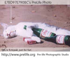 E7BD97E790BC's PreLife Photo