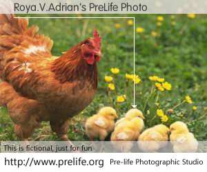Roya.V.Adrian's PreLife Photo