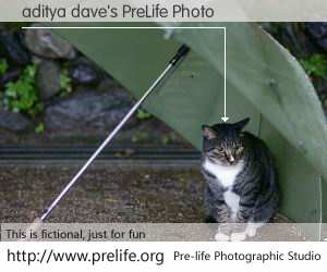 aditya dave's PreLife Photo