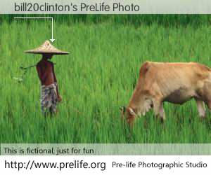 bill20clinton's PreLife Photo
