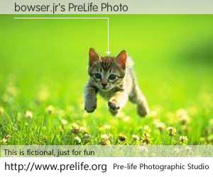 bowser.jr's PreLife Photo