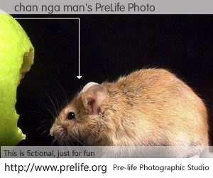 chan nga man's PreLife Photo