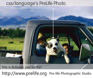 css/language's PreLife Photo