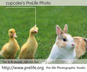 cupcake's PreLife Photo