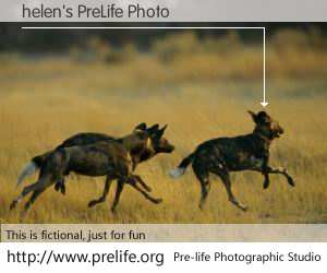 helen's PreLife Photo