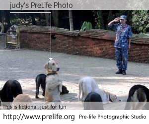 judy's PreLife Photo