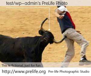 test/wp-admin's PreLife Photo