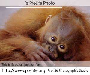 ����'s PreLife Photo
