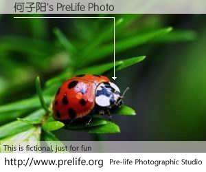 何子阳's PreLife Photo
