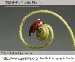 刘雨田's PreLife Photo