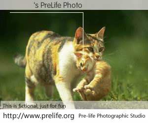 張硯鈞's PreLife Photo