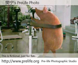 樊宁's PreLife Photo