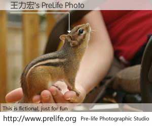 王力宏's PreLife Photo