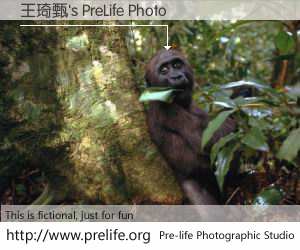 王琦甄's PreLife Photo
