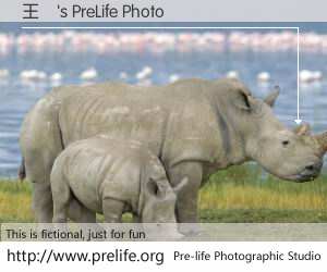 王赟's PreLife Photo