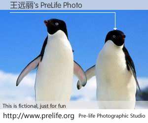 王远丽's PreLife Photo