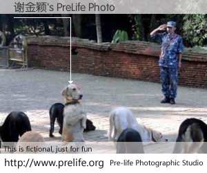谢金颖's PreLife Photo