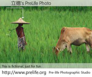 陳立德's PreLife Photo