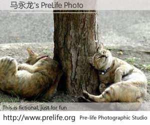 马永龙's PreLife Photo
