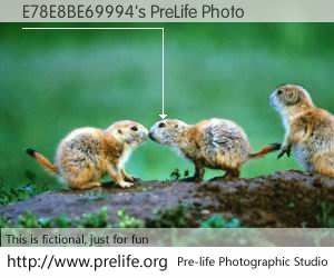 E78E8BE69994's PreLife Photo