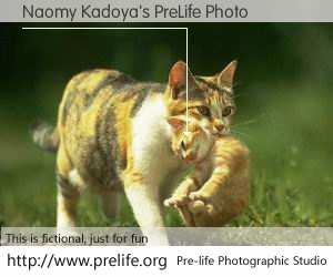 Naomy Kadoya's PreLife Photo