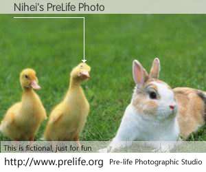 Nihei's PreLife Photo