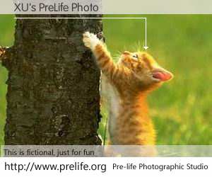 XU's PreLife Photo