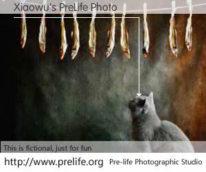 Xiaowu's PreLife Photo