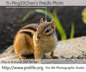 Yi-Ping20Chen's PreLife Photo