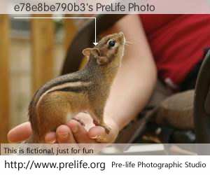 e78e8be790b3's PreLife Photo