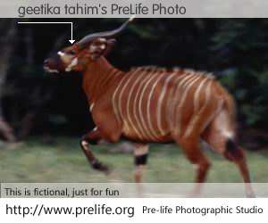 geetika tahim's PreLife Photo