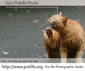 he's PreLife Photo