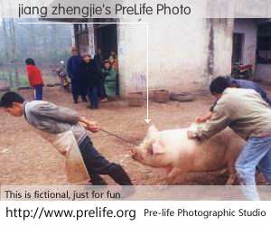 jiang zhengjie's PreLife Photo