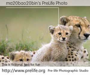 ma20bao20bin's PreLife Photo