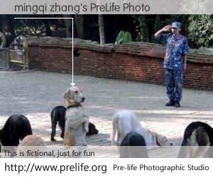 mingqi zhang's PreLife Photo