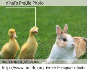 nihei's PreLife Photo