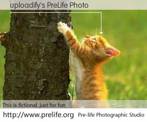 uploadify's PreLife Photo