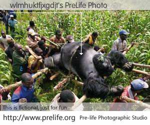 wlmhuktfjxgdjt's PreLife Photo