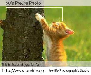 xu's PreLife Photo