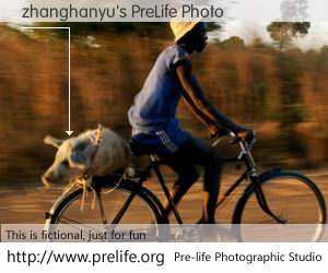 zhanghanyu's PreLife Photo
