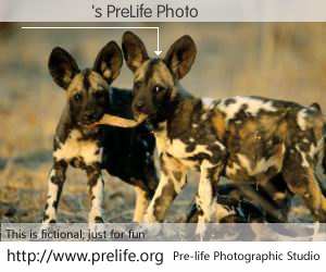 ����'s PreLife Photo