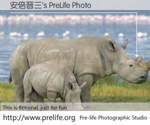 安倍晋三's PreLife Photo