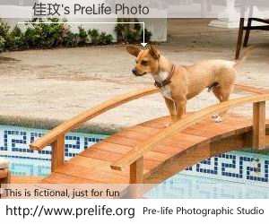 楊佳玟's PreLife Photo