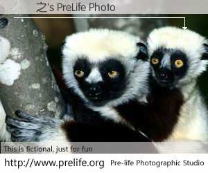 陳樂之's PreLife Photo