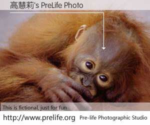 高慧莉's PreLife Photo