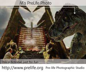 ���M's PreLife Photo