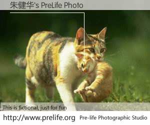 朱健华's PreLife Photo