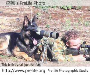 盛颖's PreLife Photo