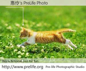 賴惠伶's PreLife Photo